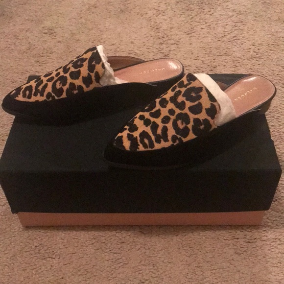 Leopard slides - Picture 2 of 4